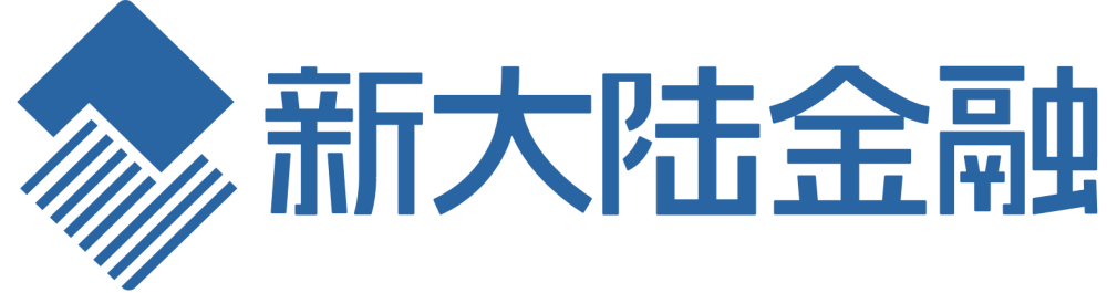 新大陆金融